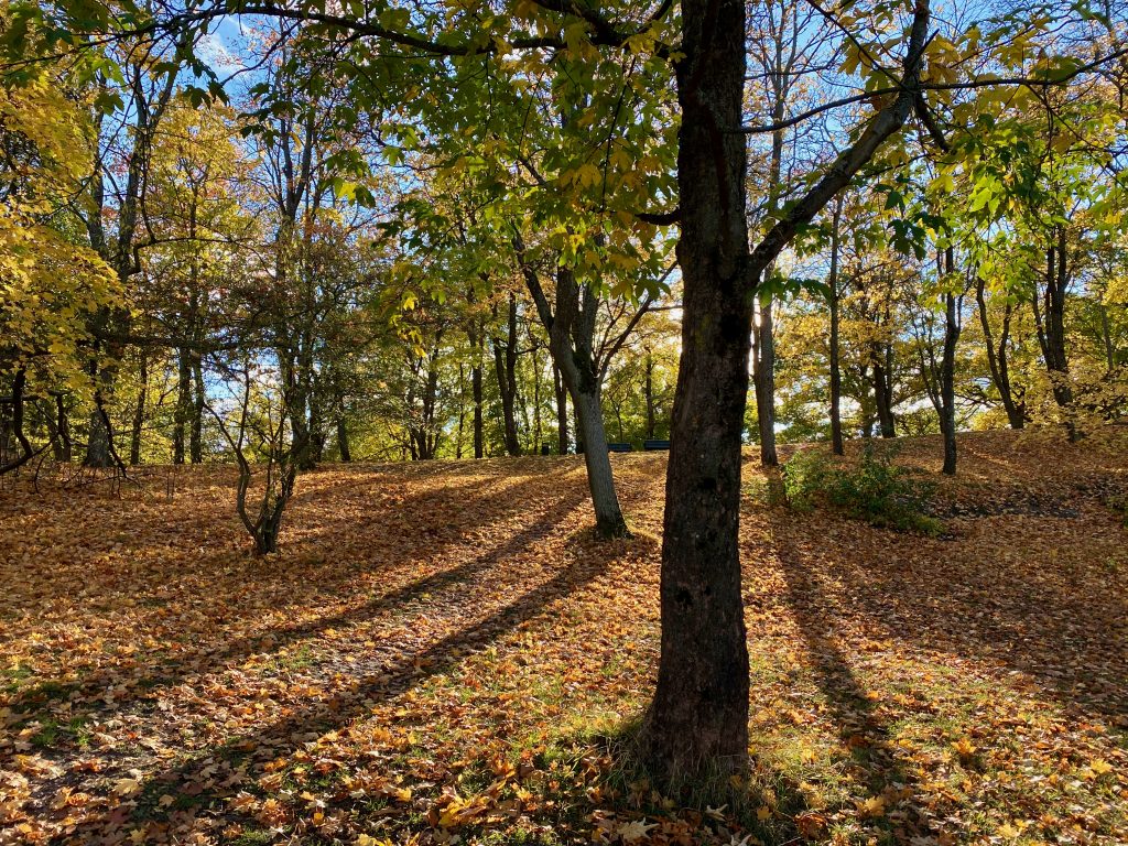 Långholmen