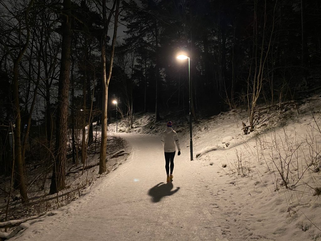 Årstaskogen, kivilágított kirándulóút