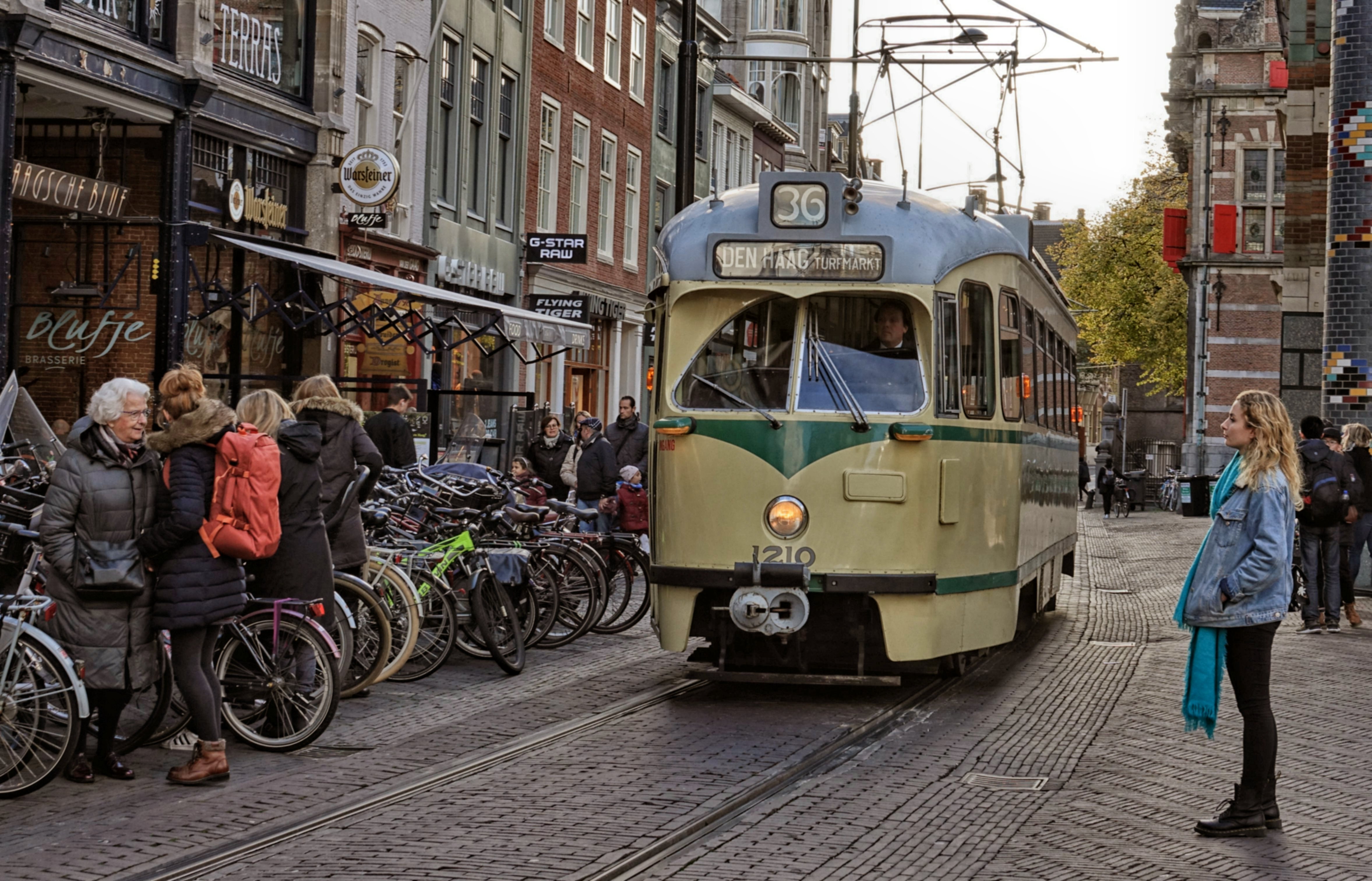 lijn 36