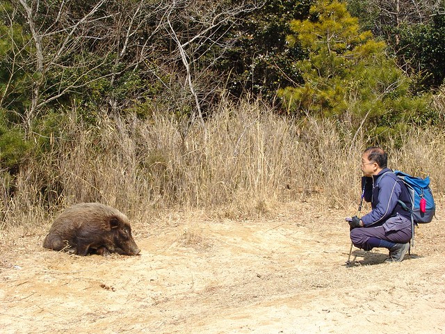 Commune with the beast