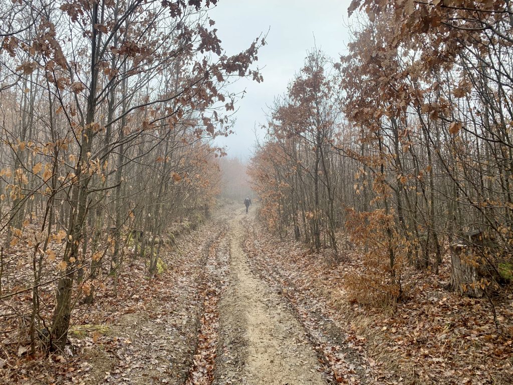 Muddy trail in foggy conditions