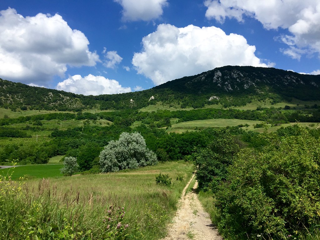 Up from Kesztölc