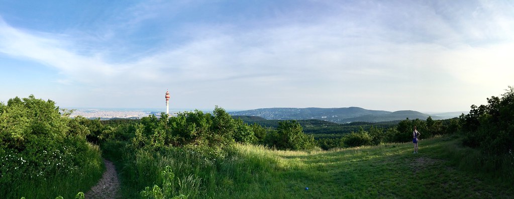 Hármashatár-hegy