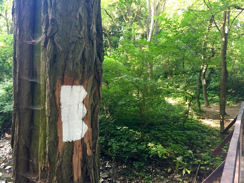 Half-finished signs
