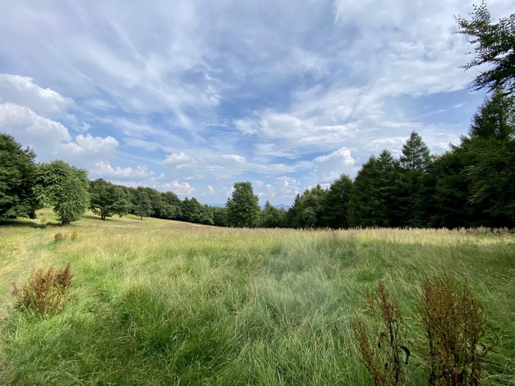 Green stripe hiking route