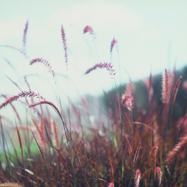Changing winds