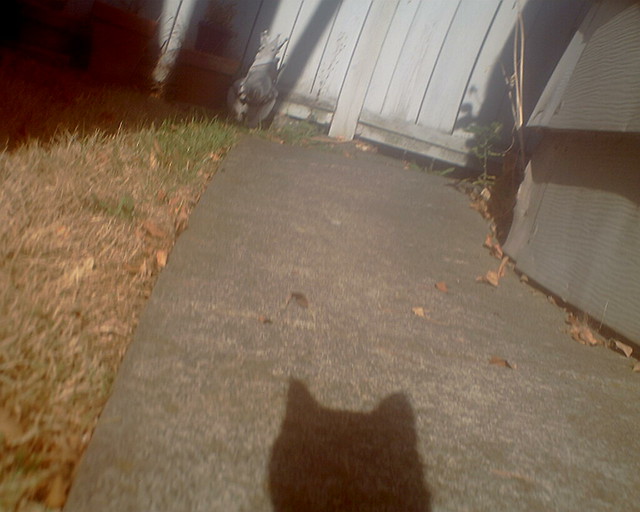Shadow
