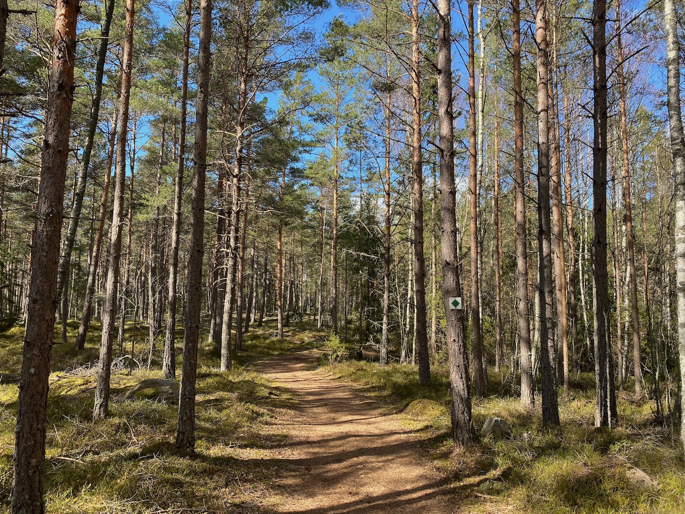 Hammarö túraútvonal