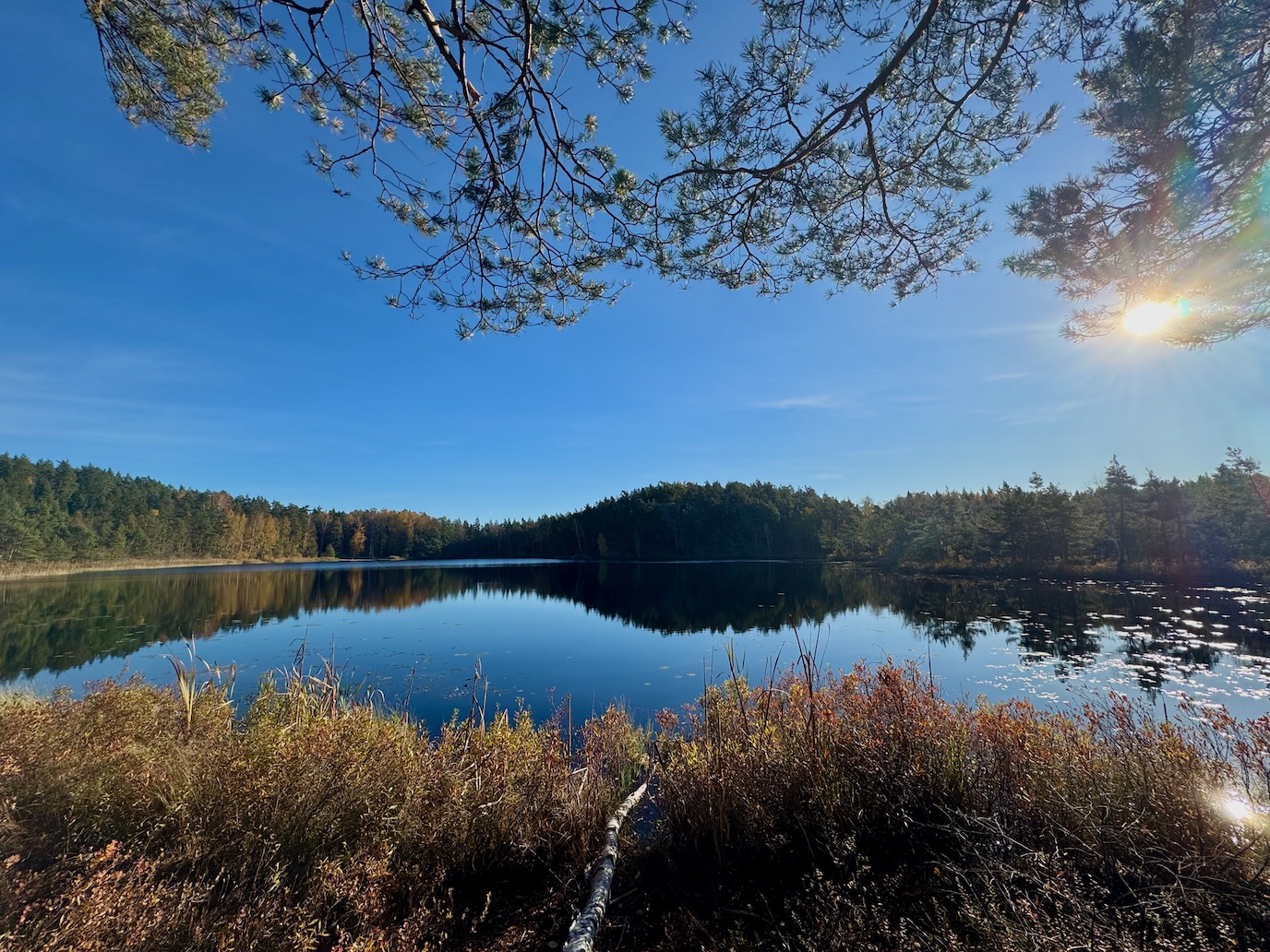 Sandasjön