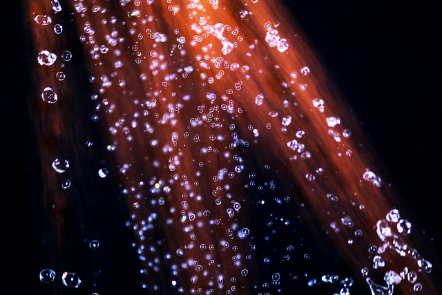 Shower drops
