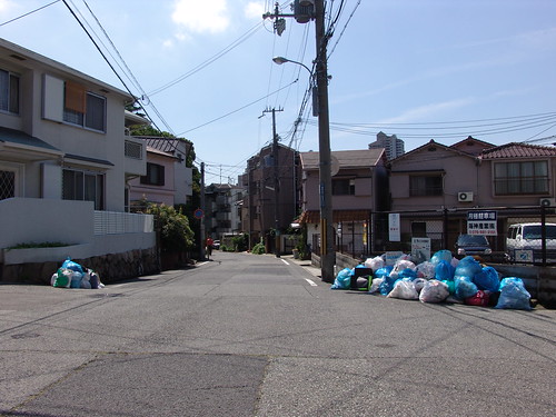 streetview on garbage day