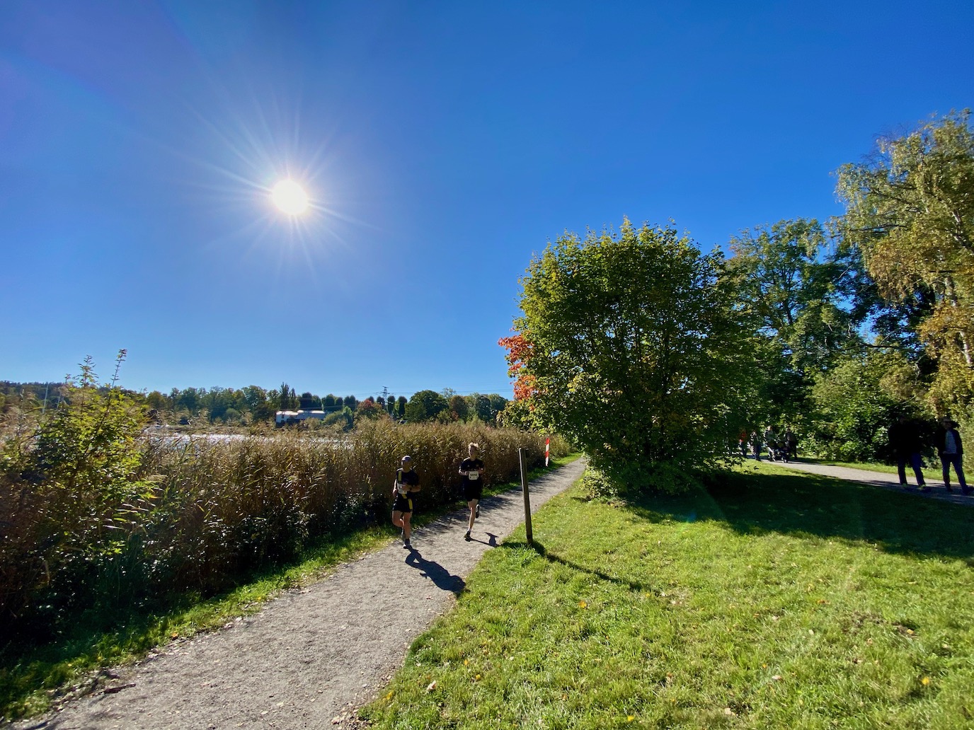 Kyrkviken