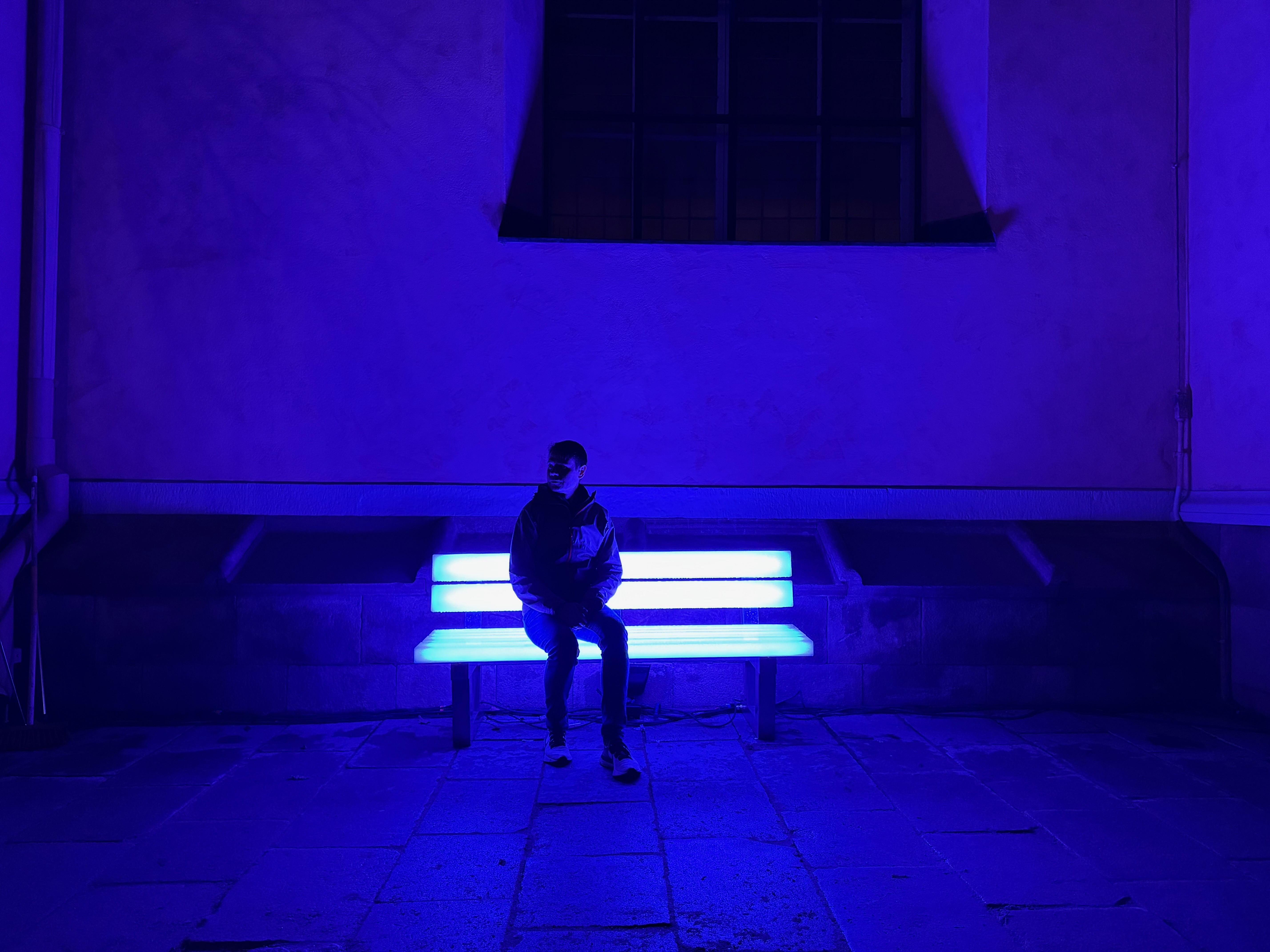 Nobel Week Lights 2025 artwork 